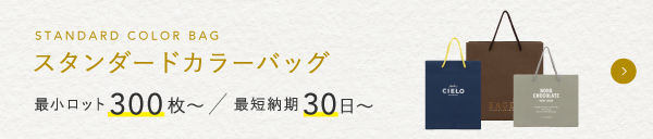 ショッパー等に使える紙袋｜スタンダードカラーバッグ