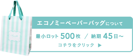 エコノミーペーパーバッグについて