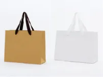 ボディーカラー・ハンドルカラー