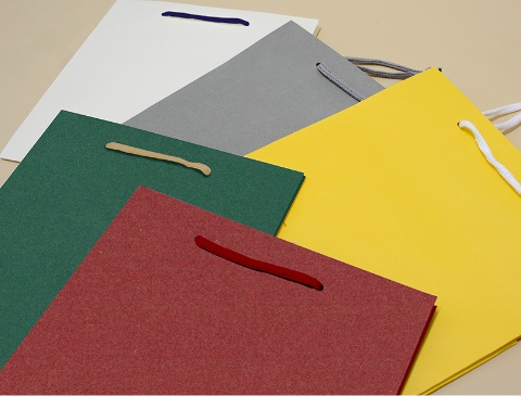 カラーバリエーションの異なる５つの紙袋が並ぶ