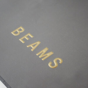 BEAMS6