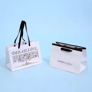 チョコレートブランドDEBAILLEULの紙袋