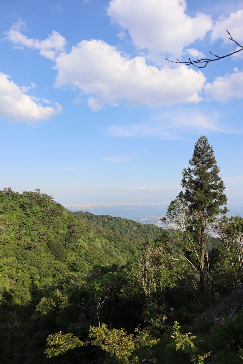 六甲山が思い浮かぶ紙袋8