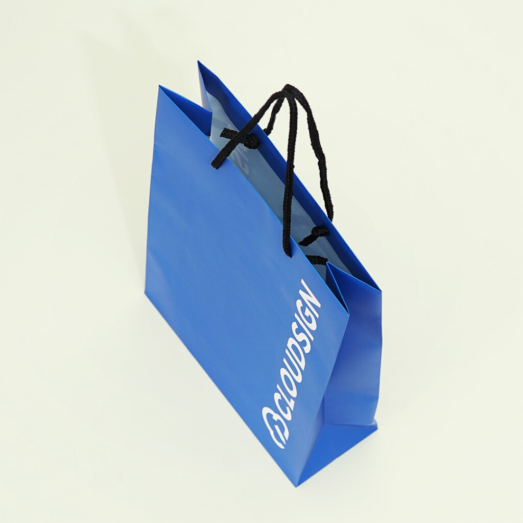 ビジネスに最適なブルーを使用した紙袋2