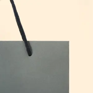 シルバーロゴが際立つパッケージ4